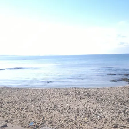 Conchiglie 加利波利