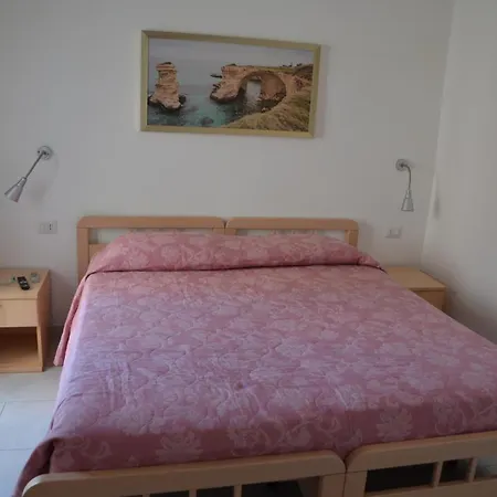 Conchiglie Gallipoli